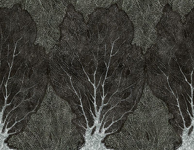 Фотообои FORESTA 8, Ar-Deco, Factura Фотообои FORESTA 8, Ar-Deco, Factura